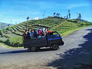 Rombongan tilik, tapi mbuh tilik sopo mbah 😅