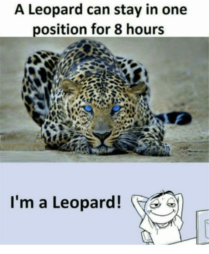 I am a Leopard! - Funny Tech and IT Memes pictures, photos, images, pics, captions, jokes, quotes, wishes, quotes, SMS, status, messages, wallpapers