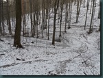 SAM_0673