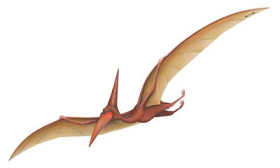 pterodactyl Pterodactyl Muncul Ketika Peristiwa Menara Kembar