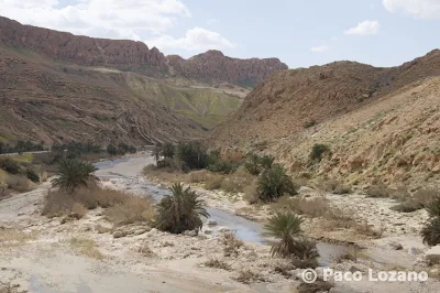 Selja Gorge