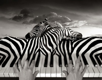 Manipulação de fotos sem PhotoShop, por Thomas Barbey