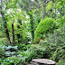 Pond is focal point of a lush garden