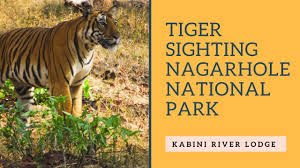 Nagarhole National Park And Tiger Reserve
