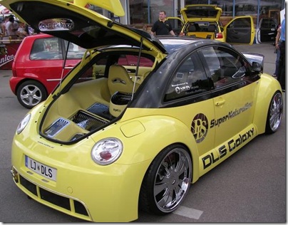 beetle xun (4)
