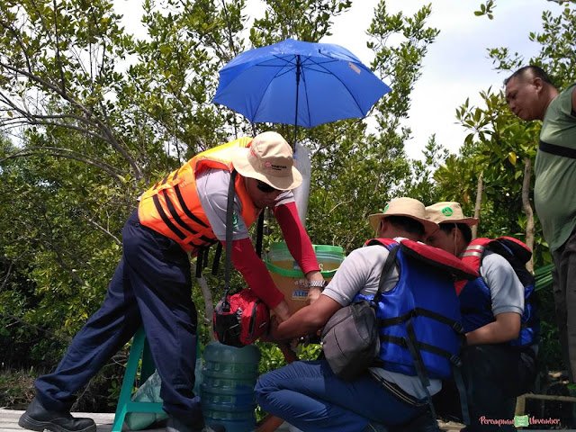 wisata mangrove belawan