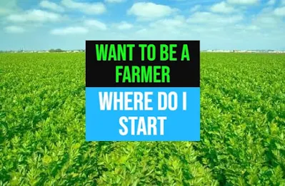 How to become a farmer without experience