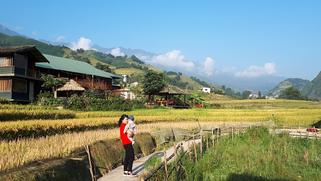 The insanely picturesque Sapa hike in Vietnam! 1