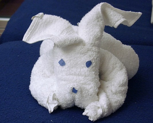 towel animal origami 