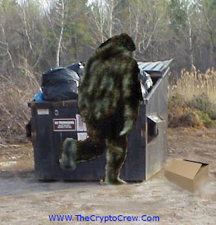 Bigfoot seen in dumpster