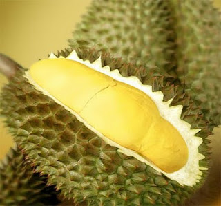 Motivasi Dari Sifat Buah Durian! [ www.BlogApaAja.com ]