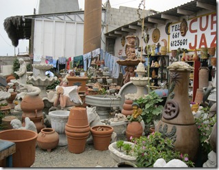 IMG_5614 IMG_5614