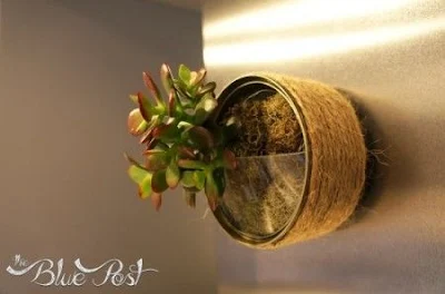 60 lindas ideias de como usar latas como vasos de plantas