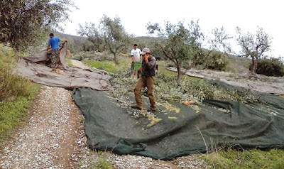 Ημερίδα της ΕΣΕΕ στην Καλαμάτα για την υπερφορολόγηση