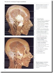 058 M_sculos da A.T.M.