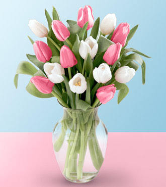 Parrot Tulip Bouquet(RM172.00)