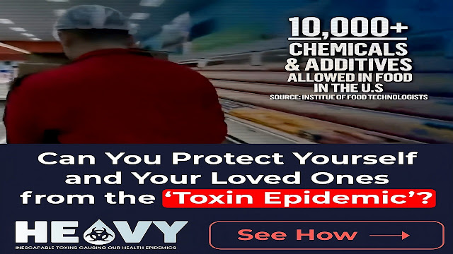 Heavy: Inescapable Toxins Causing Our Health Epidemics