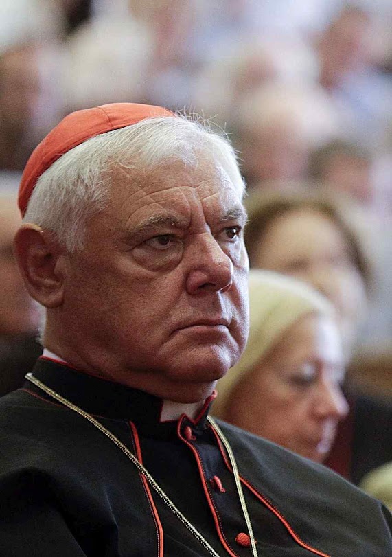 O Cardeal Müller pediu ao Papa que por amor ao Evangelho condene a agenda LGBT