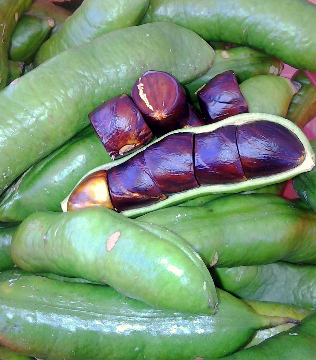 Buah-Buahan Tempatan Dari Desa - Relaks Minda