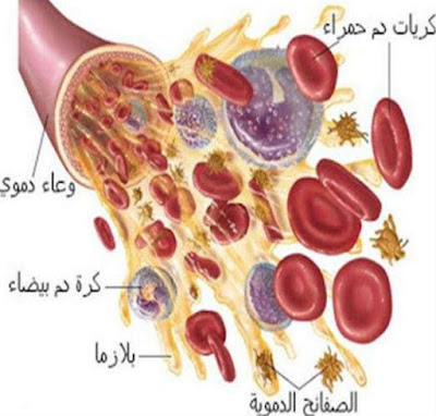 خلايا دموية