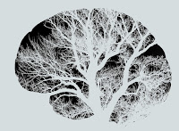 Image of tree branches superimposed on a brain representing neuroplasticity as taught in Dr. Danielle Rosenman's online group and in-person groups