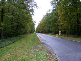 A road through the forest.  Indre et Loire, France. Photographed by Susan Walter. Tour the Loire Valley with a classic car and a private guide.