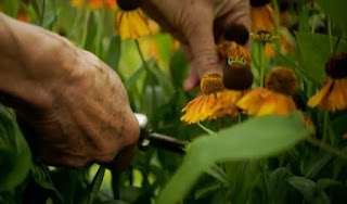 Deadheading