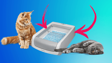 Caja de arena automática PetSafe ScoopFree para gatos  (Análisis 2021)