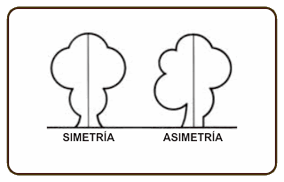 Resultado de imagen para composicion asimétrica y simetrica
