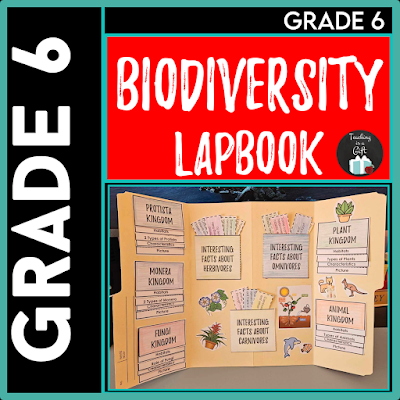 Photo of Grade 6 Biodiversity Interactive Lapbook