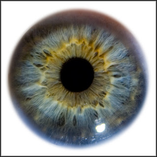 Vision Problems With Low Blood Sugar : The Greatest Achievers Goal Setting Secrets