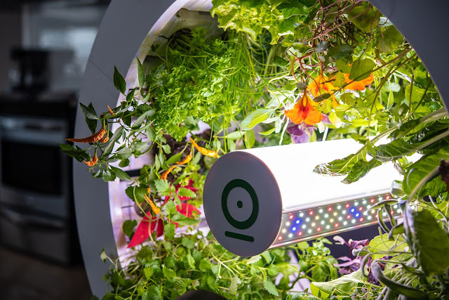 Smart Indoor Gardening System