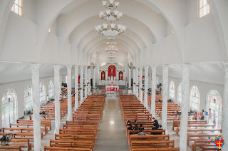 Sts. Peter and Paul Parish - Barotac Viejo, Iloilo