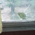 Луценко заявил, что неизвестные обстреляли окна в домах следователей по "делу налоговиков"