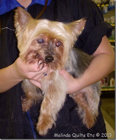 Max after haircut 0108