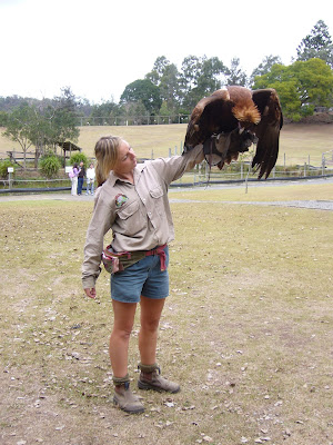 Lone Pine Koala Sanctuary