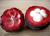 “Mangosteen