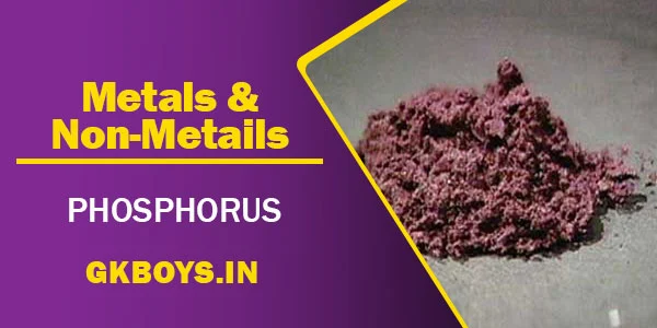 Metals & Non Metals | Phosphorus | GK Boys