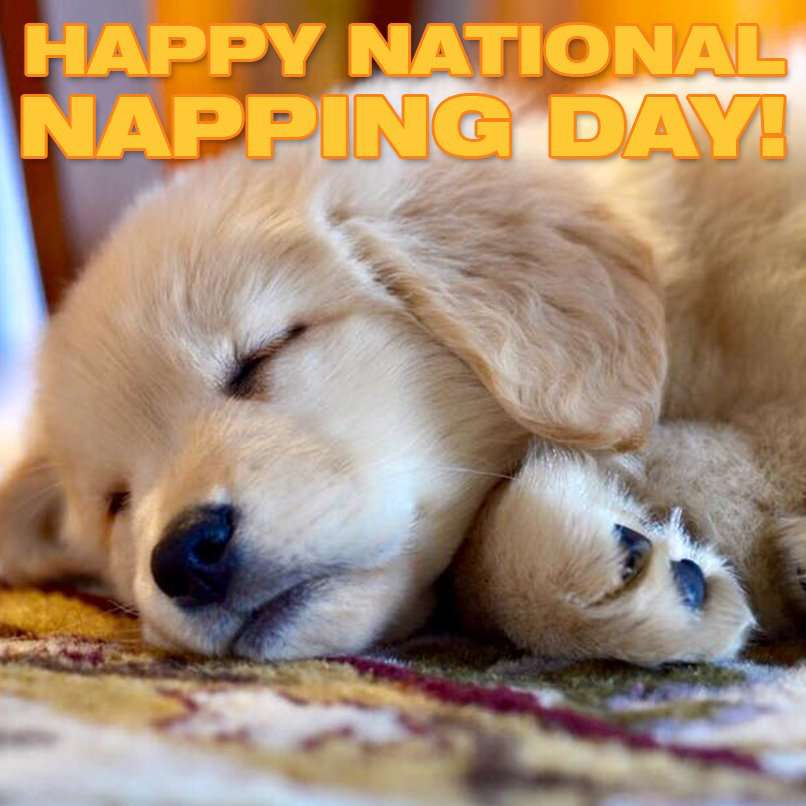 National Napping Day Wishes for Instagram