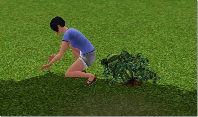 gardening-wrong