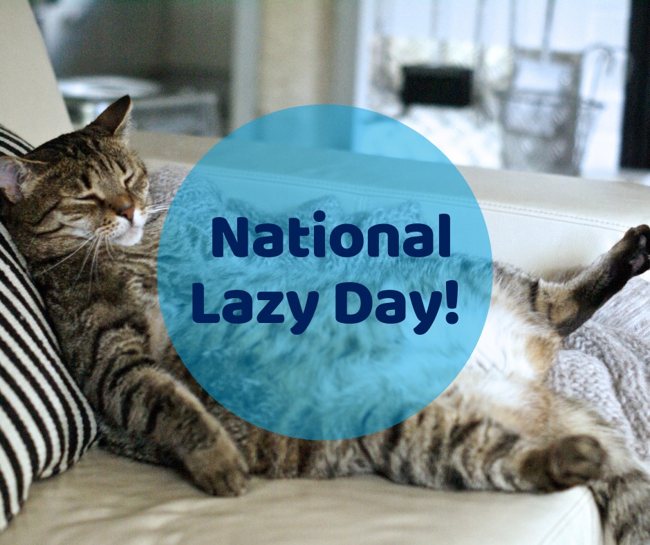 National Lazy Day