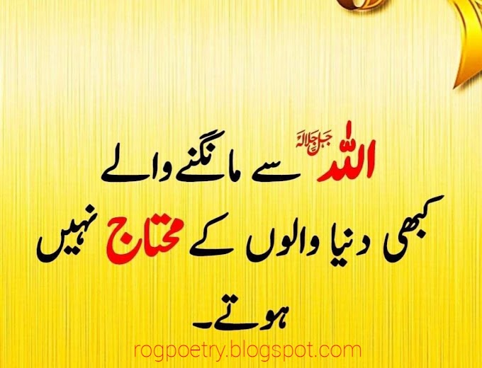 10+ New Islamic quotes, Islamic quotes, Urdu Islamic quotes, Urdu quotes, Motivational quotes, quotes , urdu quote, nice quotes