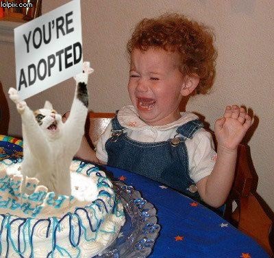 funny quotes about animals. funny happy birthday quotes