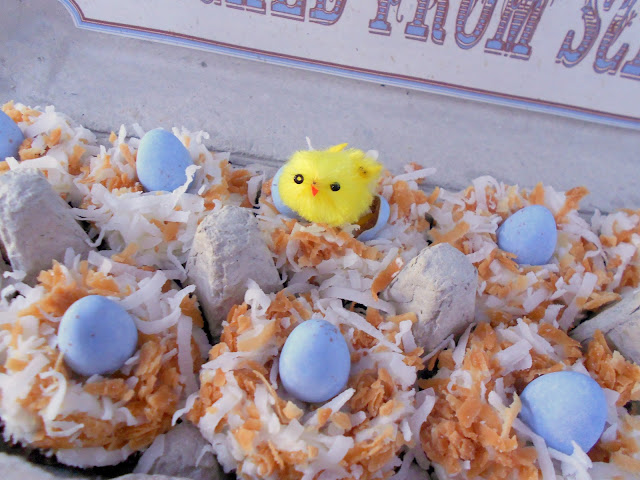 mini coconut cupcakes packaged in egg carton