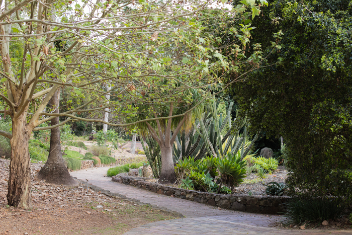 noosa botanical gardens