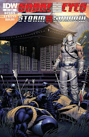 Snake Eyes and Storm Shadow #21 Cover