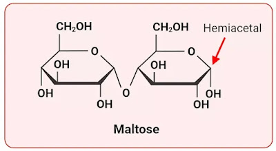 what does redcuing sugar mean maltose