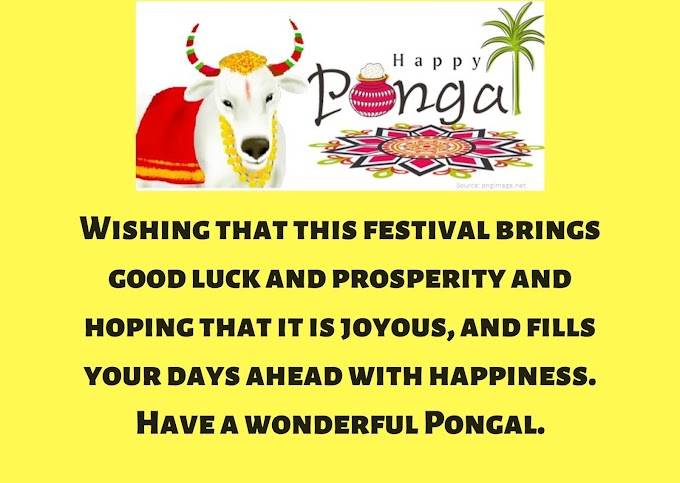 Pongal 2021: Here’s Everything You Need to Know About Pongal!