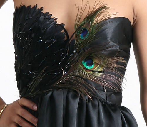 From this peacock inspired dress comes the below party ideasthe feathers 