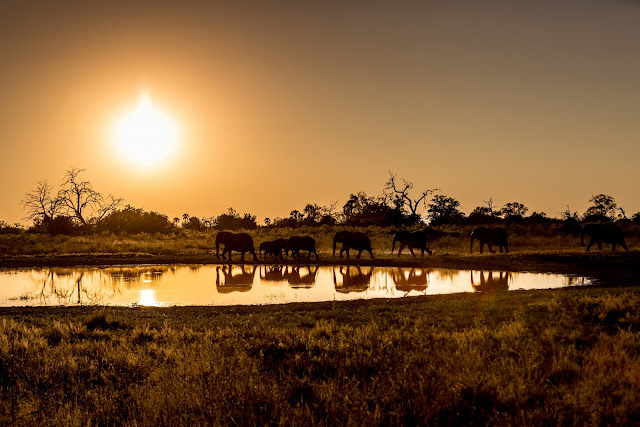 Qorokwe Classic Camp, Wilderness Safaris, Okavango Delta, Botswana